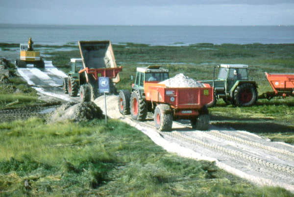 Wegebau in der Salzwiese