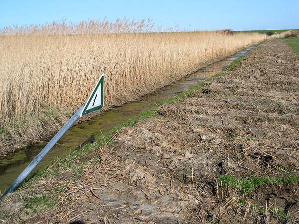 Ausgebaggerter Graben Ausgebaggerter Graben