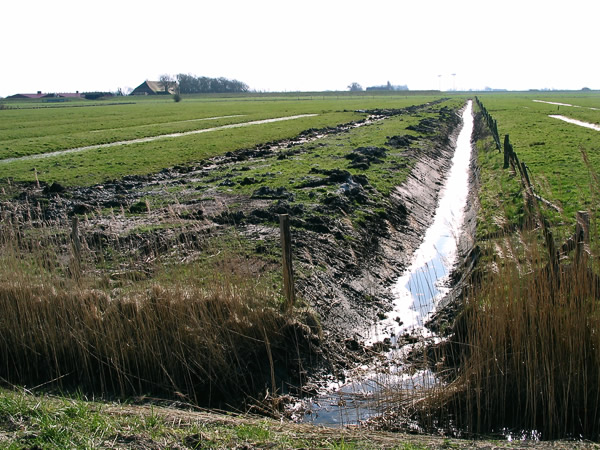 Ausgebaggerter Graben Ausgebaggerter Graben