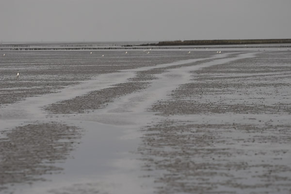 Offshore im Nationalpark